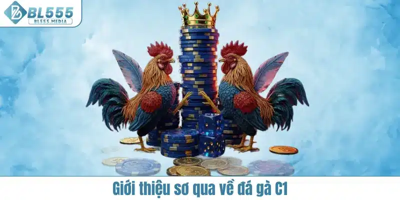 Đá gà C1 là gì?