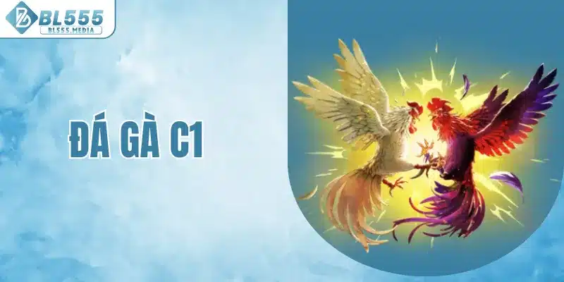 đá gà c1