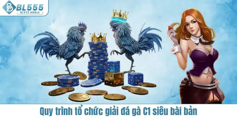 Nắm bắt quy trình tổ chức giải đá gà