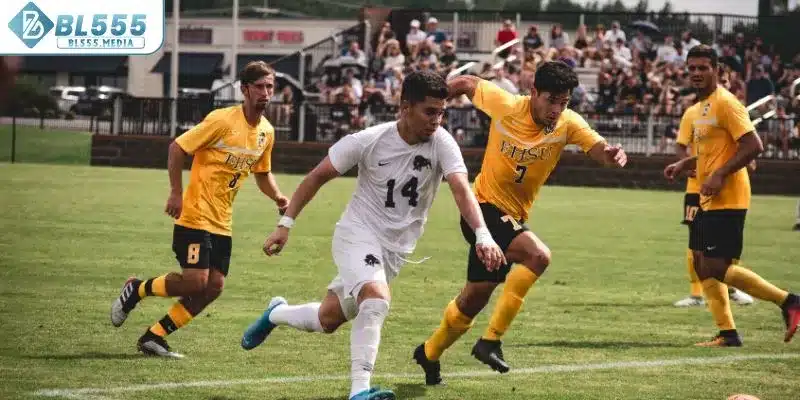 Xem xét và đánh giá các đội bóng